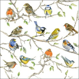 20 Napkins Meeting of the SingBirds in the Tree | Birds | Animals | Spring | Summer | Table Decoration 33 x 33 cm