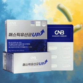 Mastic Lactobacillus Lactiplantibacillus Mastic Lactobacillus 90 tablets / 매스틱유산균 락티플란티바실러스 메스틱유산균 90정