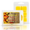 Fall Leaves - Autumn Scent- Maximum Scented Wax Melts- 1