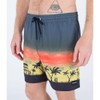 Hurley Men's Board Shorts, iron ore