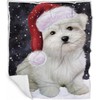 Maltese Dog Blanket - Let it Snow - Super Soft