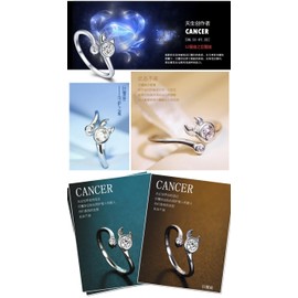 SJDOFU Women's Ring 925 Sterling Silver 5A White Stone 12 Zodiac Signs Ascendant Adjustable Ring Birthday Gift, Precious metal, Cubic Zirconia