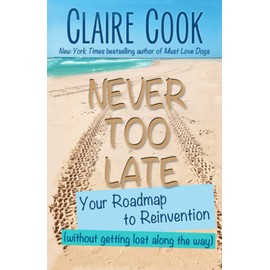 Never Too Late: Your Roadmap to Reinvention (without getting lost along the way)