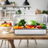 Ziliny 6 Pan Countertop Ice Food Serving Display Container Cooled