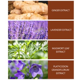 20PCS Ginger Foot Pads, Natural Bamboo Vinegar Bamboo Charcoal Wormwood Lavender Ingredients Foot Patches - Ideal for Adults Elderly