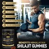 Grevol Pure Himalayan Shilajit Gummies: Gold Grade Shilajit Riched with