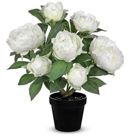 Hollyone White Fake Peonies Artificial Flowers in Pot 16.9" Small Peonies Tree Indoor Outdoor Faux Plants & Flowers Peony Silk Flowers Potted Plant Artificial Peony Floral Arrangement Desk Home Decor