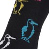 Chums CH06-1127 3P Booby Ankle Socks, Set of 3 colors,