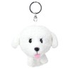 Niki Bichon Frise Ben Lenovitz BB Key Ring, Keychain, Kids,
