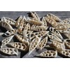 10pc Natural Cerithium Vertagus Seashells, Sliced Cut, 1.5-2 inch, White