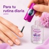 Prosa Endurecedor Para Uñas Con Ajo Y Calcio, 15 Ml