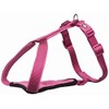 Trixie Premium Dog Harness, Pink (Orquid), M/L