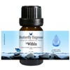 Le WithIn Essential Oil Blend 10ml - 100% Pure -