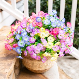 HyeFlora Artificial Fake Flowers Plants for Outdoor Outside Decoration, 12 Bundles Silk Colorful Morning Glory UV Resistant Look Real Faux Flowers for Spring Summer Front Door Porch Patio Planter Yard