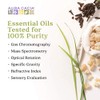 Aura Cacia Essential Oil Blend Roll-On, Purifying Tea Tree, 9.2ml