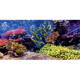 MIRRORANG 61 x 30 cm Durable Vinyl Aquarium Decor Background Coral Tropical Fish Underwater Fish Tank Poster Background