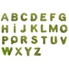 Moss Letter Iceland Moss ABC Letters with Moss (A, 30