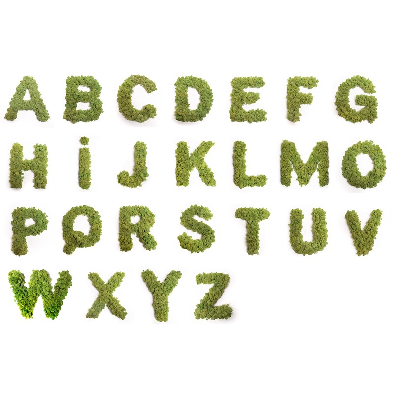 Moss Letter Iceland Moss ABC Letters with Moss (A, 30