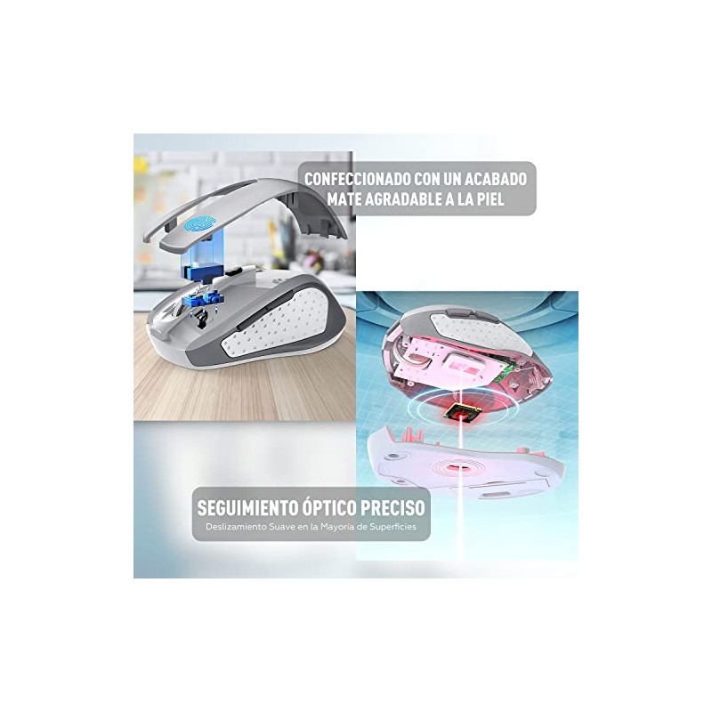 TERPORT F20 Mouse Inalámbrico, Mouse Ergonómico de 2.4G con 5