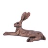 Harvey Hare - by Paul Jenkins