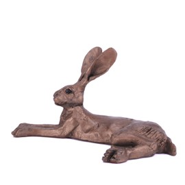 Harvey Hare - by Paul Jenkins