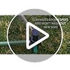 Rain Bird 42SASPG Gear Drive Rotor Sprinkler with Adjustable Spray
