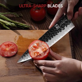 Zennish Chef Knife, 8 Inch Kitchen Knife 5-Layer High Carbon Steel, Meteorite Texture With Full Tang G10 and Sandalwood Handle For Family/Restaurant With Premium Gift Box - Meteorite Series