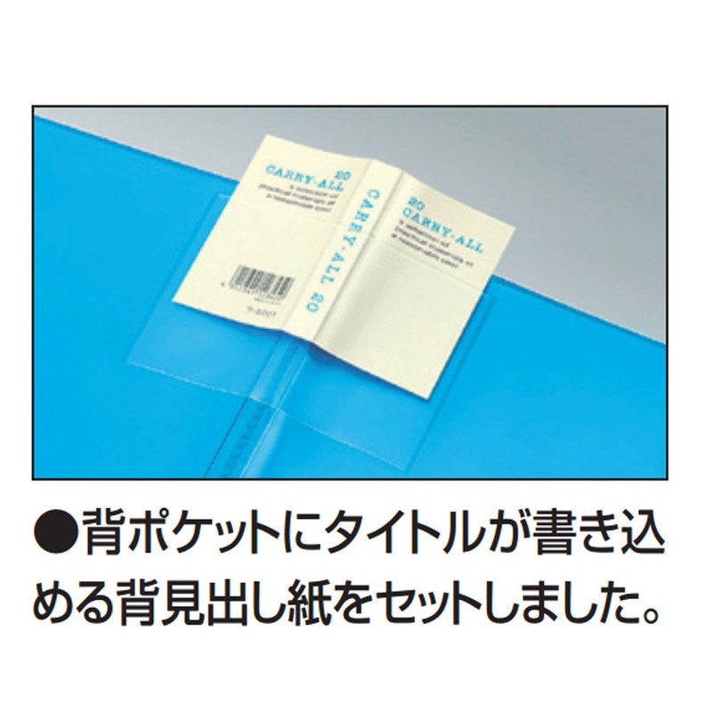 Kokuyo File Clear File Carry-All Fixed Back Pocket B4 20