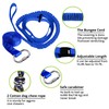 HOKINETY Dog Hanging Bungee Tug Toy: Interactive Tether Tug-of-War for