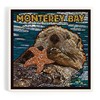 Monterey Bay, California, Mosaic, Otter (Absorbent Ceramic Coaster, Single, Cork