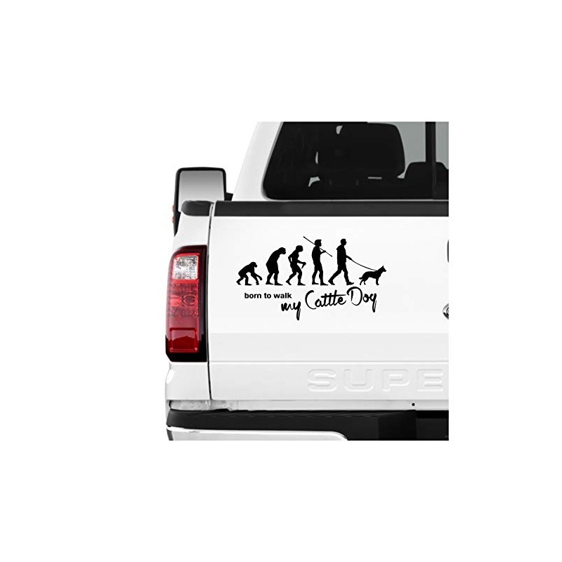 siviwonder Australian Cattle Dog ACD Evolution Car Sticker Film Metallic