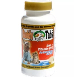 Interfarma Buddy Tabs Iron + Vitamin B12 60 chewable tablets