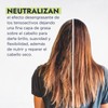 Hebbe - Dietanolamida de Ácidos Grasos de Coco, Emulsionante y