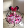 Gymnasio Bebé Minnie Mouse (Usado)