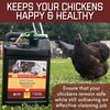 Chick Fresh Odor Eliminator for Backyard Chickens. Makes 1 Gallon