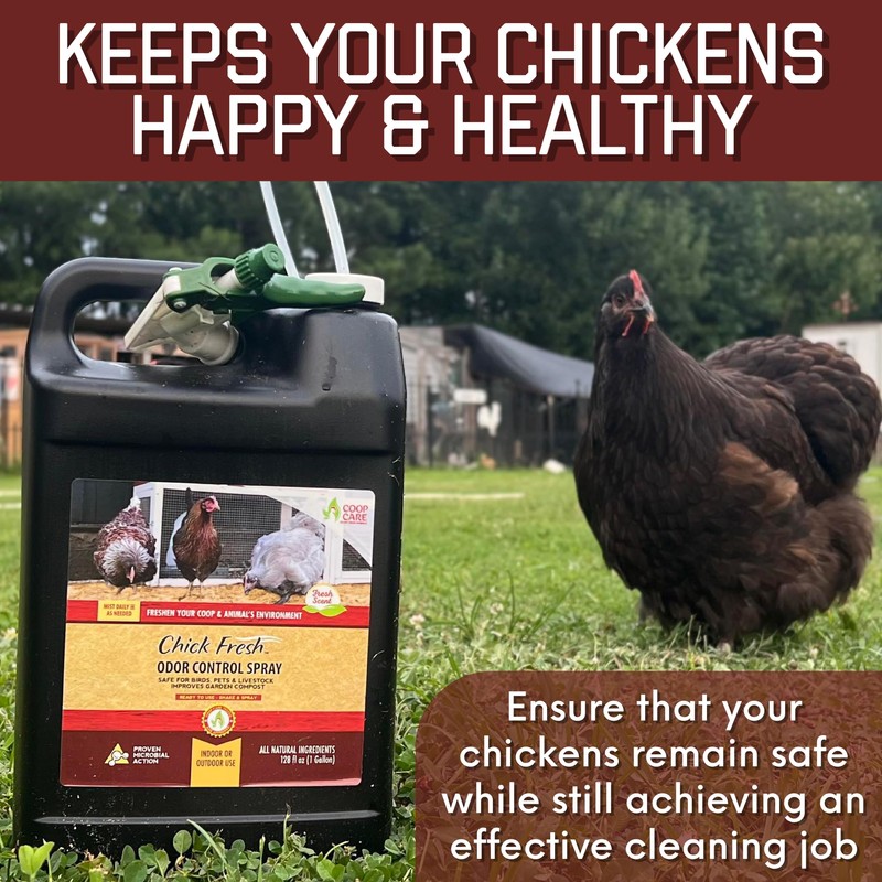 Chick Fresh Odor Eliminator for Backyard Chickens. Makes 1 Gallon