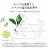GINZUBA Power Mist