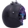Nemesis Now Cave Small Dragon Hiding Within a Crystal Skull,