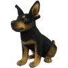 BH8423 HANSA TC Pinscher 16