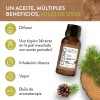 Aceite Esencial De Cedro Puro 15ml Para Difusor Y Aroma