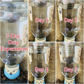 Qinsuikai 4 Pack Plant Watering Devices, Love Heart Shape Terracotta Watering Spikes, Vacation Self Watering Planter Insert, Automatic Plant Waterer for Indoor Outdoor Plants