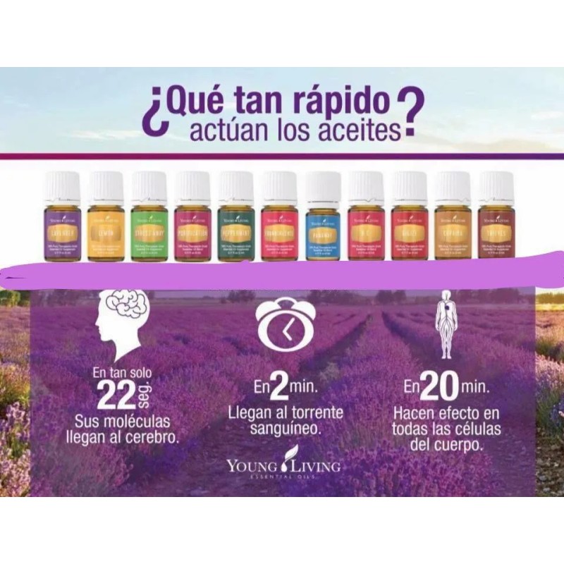 Aceite Esencial Gentle Baby Young Living Original Sellado