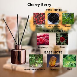 Aromagic Reed Diffuser Set,4oz Cherry&Barry Scented Diffuser with 5 Reed Sticks for Bathroom Home Office Fragrance Decor