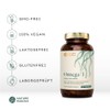 Nature Basics Omega 3 Algae Oil, 120 Capsules, Vegan, DHA