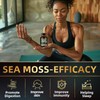 Wild Organic Sea Moss and Shilajit Bundle - 8000mg Sea