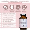 QIDOSHA 1-Deoxynojirimycin (DNJ) from White Mulberry, 120 Capsules in Pharmacist