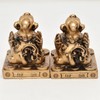 Feng Shui Pair of Pi Xiu/piyao Statue Figurine J1027
