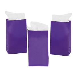 Fun Express MINI Purple Paper Treat Bags (24PC)