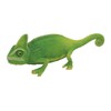 Pet Bank Pet Bank Chameleon (Chameleon)
