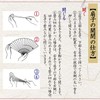 HOSEKKEN (Premium Folding Fan Brand Combines Traditional Craftsmanship and Modern